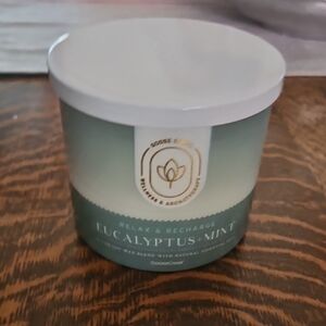 New Goose Creek Eucalyptus Mint Candle - Green and White